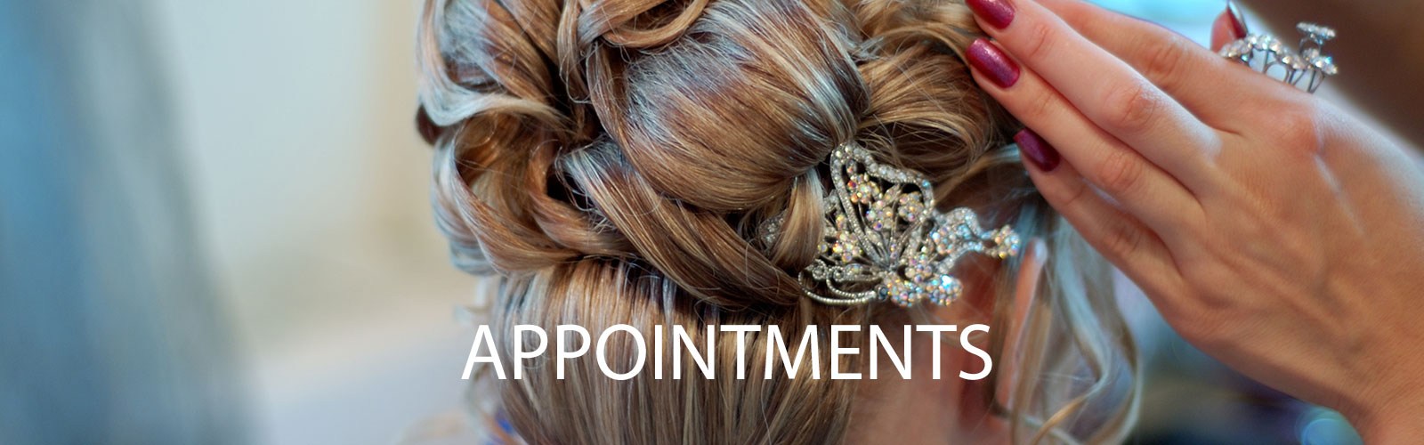 header-appointments-2024.jpg